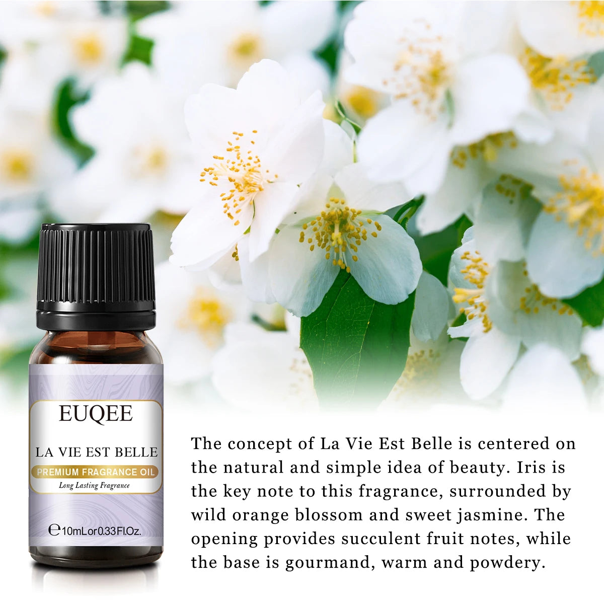 EUQEE 10ml Premium Fragrance Oil For Humidifier Diffuser Coconut Vanilla Forest Fine Sandalwood Bamboo& Teak Mango Aroma Oils.