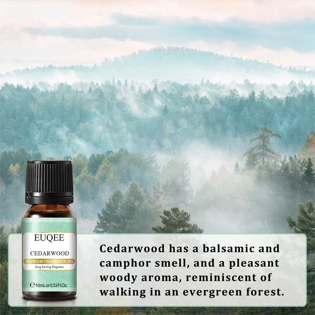 EUQEE 10ml Premium Fragrance Oil For Humidifier Diffuser Coconut Vanilla Forest Fine Sandalwood Bamboo& Teak Mango Aroma Oils.